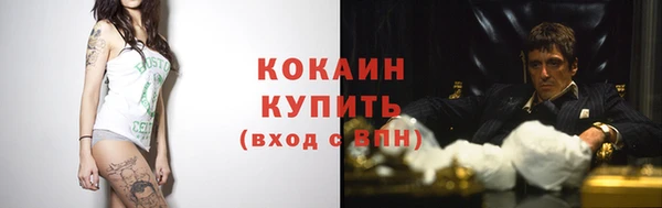 a pvp Горняк