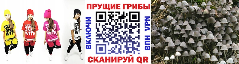 Галлюциногенные грибы мицелий  магазин продажи наркотиков  Тула 